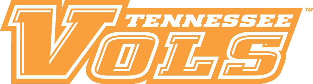 Tennessee Volunteers 2005-Pres Wordmark Logo v3 diy iron on heat transfer